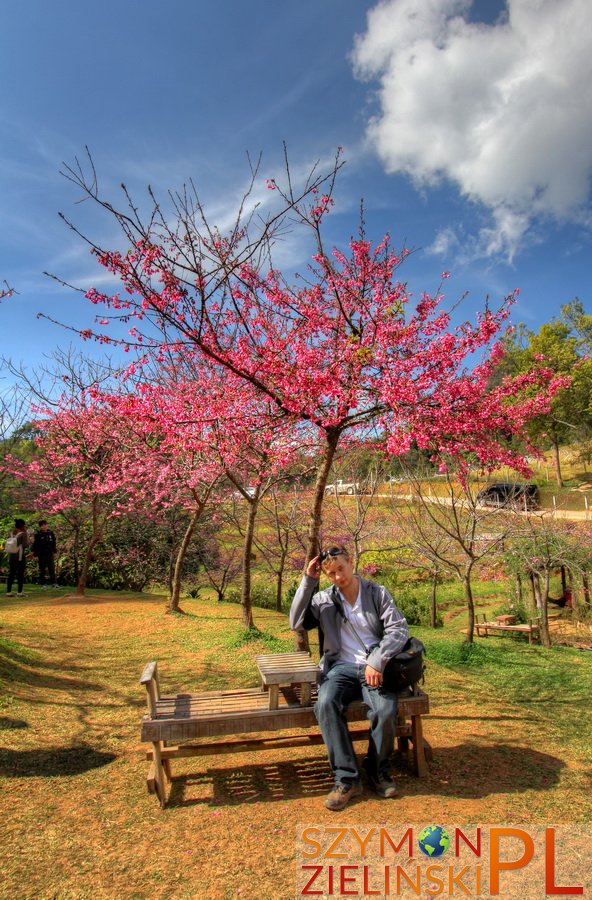 Doi Ang Khang Royal Agricultural Station, Chiang Mai province, Thailand