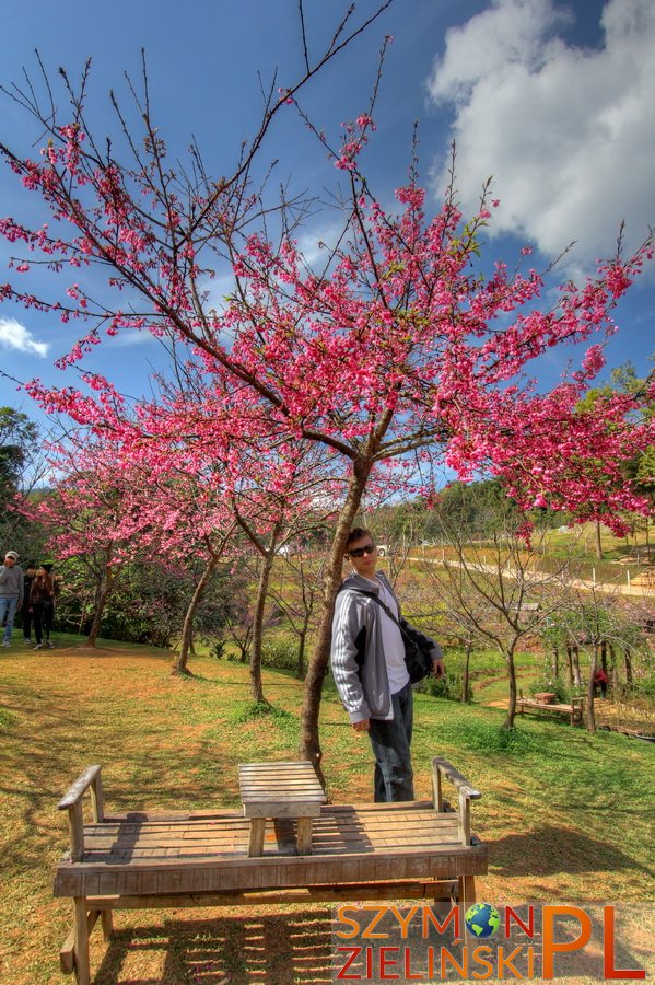 Doi Ang Khang Royal Agricultural Station, Chiang Mai province, Thailand