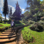 Doi Ang Khang Royal Agricultural Station, Chiang Mai province, Thailand