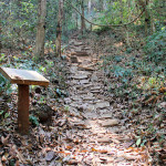 Doi Phahompok, Chiang Mai province, Thailand