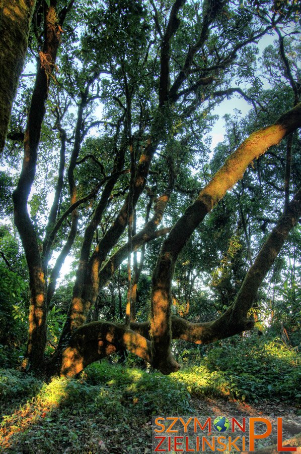 Doi Phahompok, Chiang Mai province, Thailand