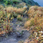 Doi Phahompok, Chiang Mai province, Thailand