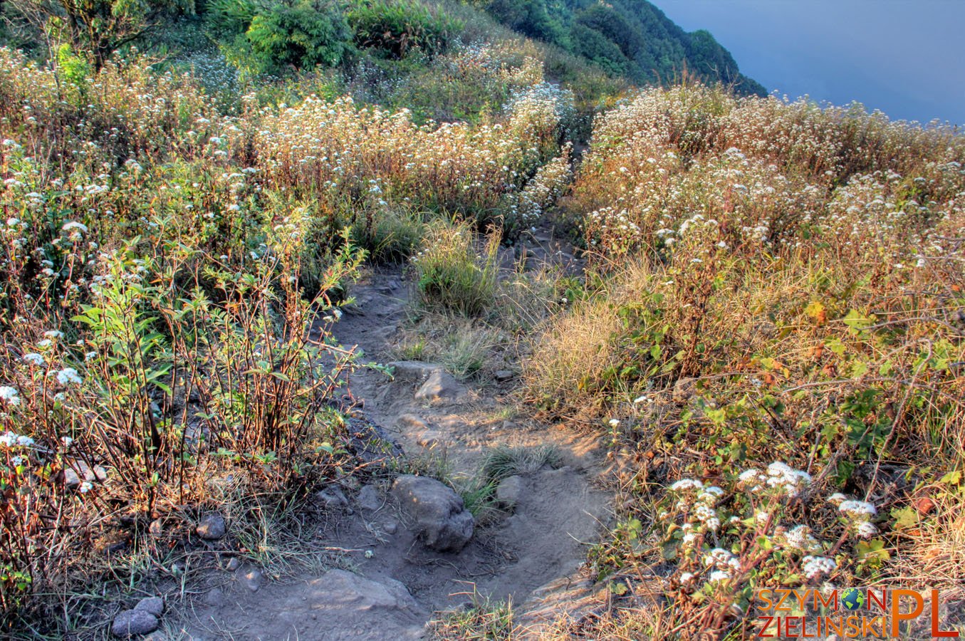 Doi Phahompok, Chiang Mai province, Thailand