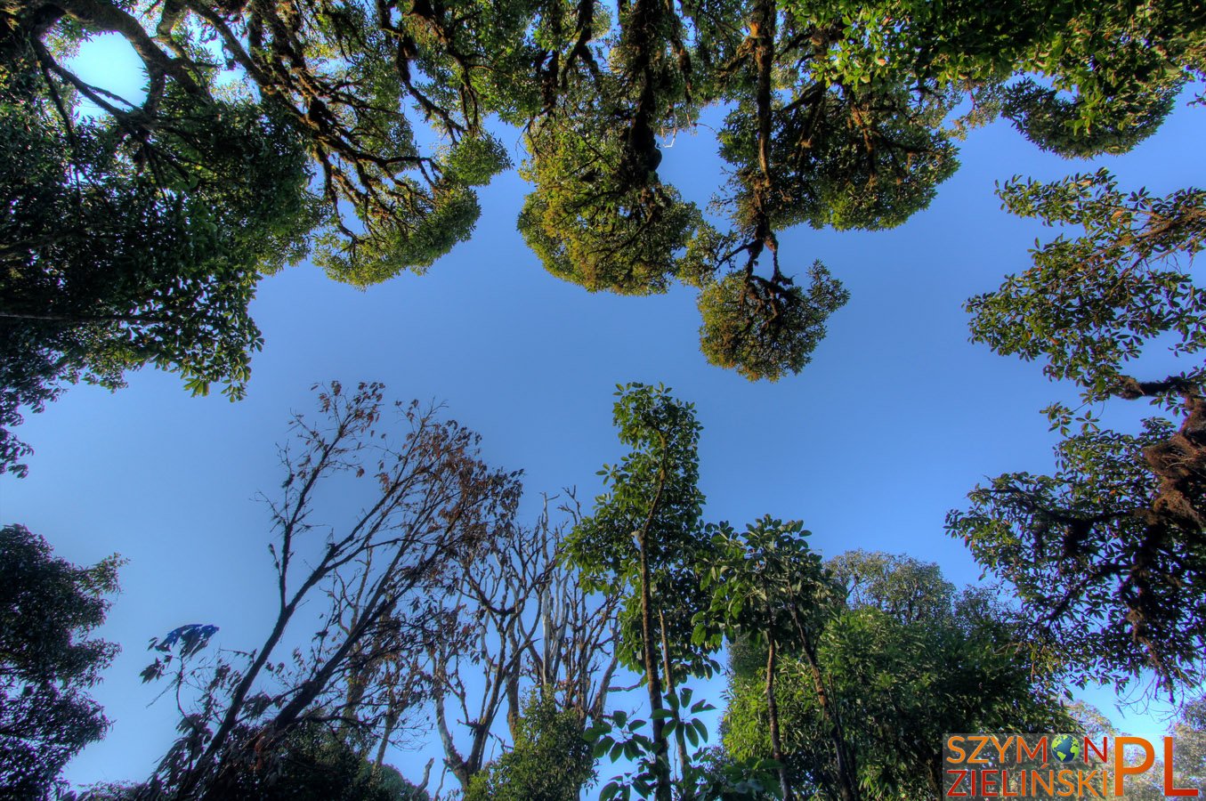 Doi Phahompok, Chiang Mai province, Thailand