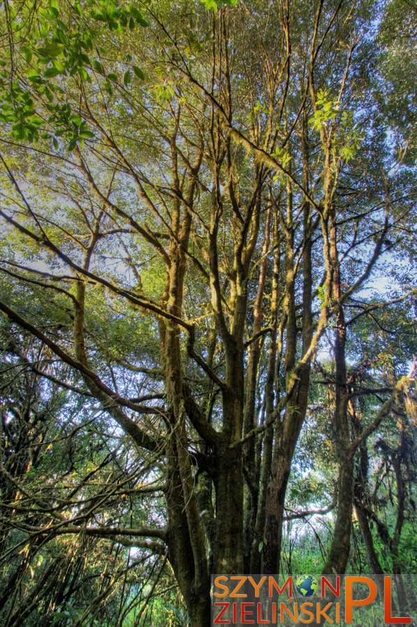 Doi Phahompok, Chiang Mai province, Thailand