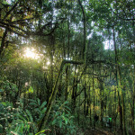 Doi Phahompok, Chiang Mai province, Thailand