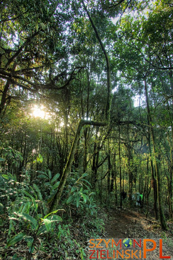 Doi Phahompok, Chiang Mai province, Thailand