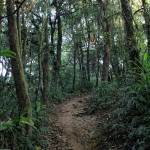 Doi Phahompok, Chiang Mai province, Thailand