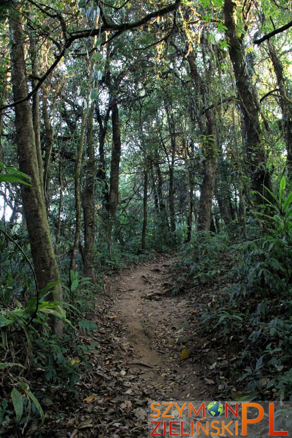 Doi Phahompok, Chiang Mai province, Thailand