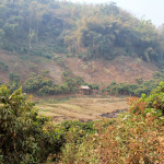 Doi Phahompok, Chiang Mai province, Thailand