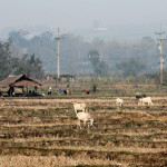 Doi Phahompok National Park, Chiang Mai province, Thailand