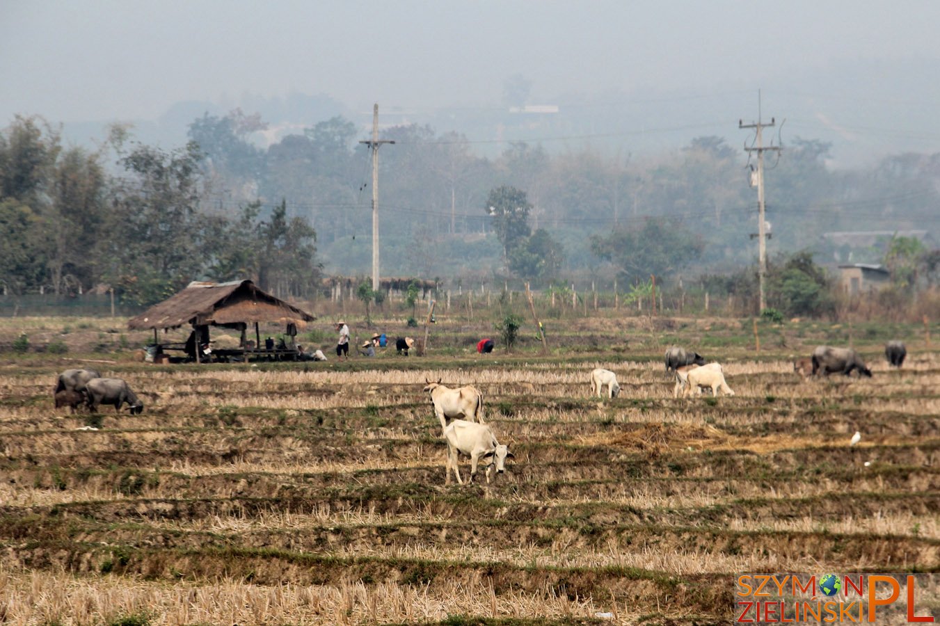 Doi Phahompok National Park, Chiang Mai province, Thailand