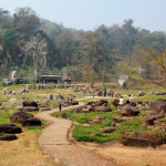 Doi Phahompok National Park, Chiang Mai province, Thailand