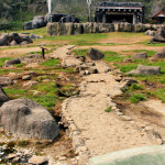 Doi Phahompok National Park, Chiang Mai province, Thailand