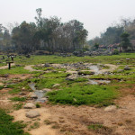 Doi Phahompok National Park, Chiang Mai province, Thailand