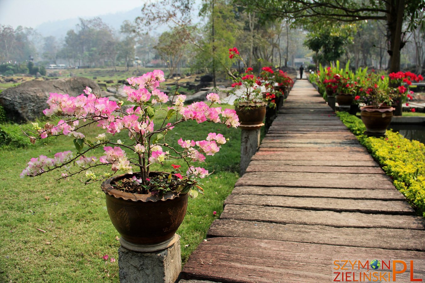 Doi Phahompok National Park, Chiang Mai province, Thailand