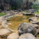 Doi Phahompok National Park, Chiang Mai province, Thailand