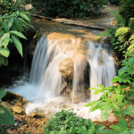 Doi Phahompok National Park, Chiang Mai province, Thailand