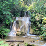 Doi Phahompok National Park, Chiang Mai province, Thailand