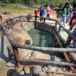 Doi Phahompok National Park, Chiang Mai province, Thailand