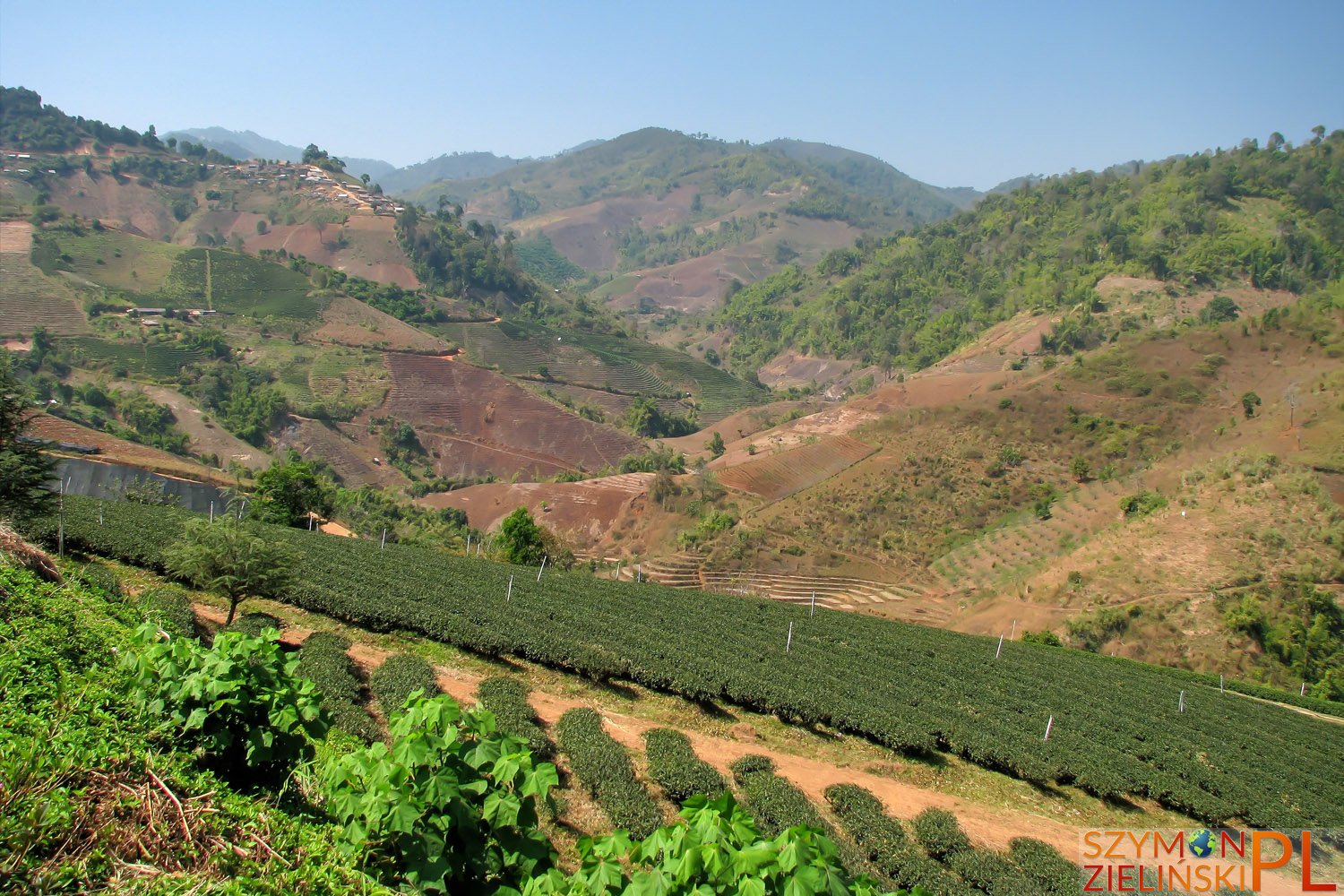 Doi Mae Salong, Chiang Rai province, Thailand - Doi Mae Salong, prowincja Chiang Rai, Tajlandia