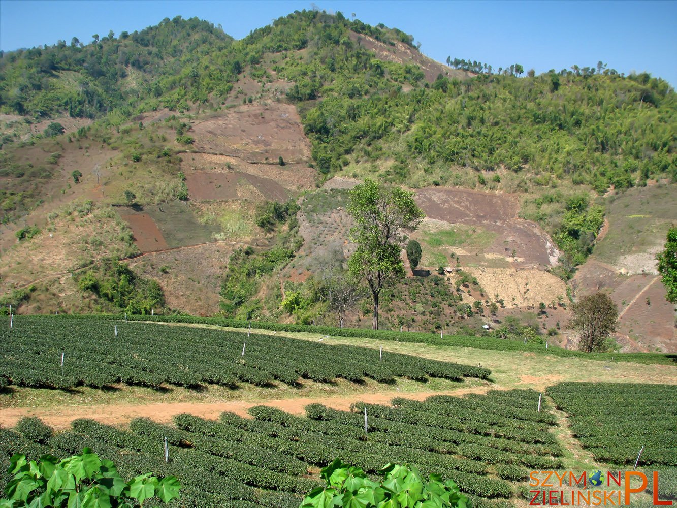 Doi Mae Salong, Chiang Rai province, Thailand - Doi Mae Salong, prowincja Chiang Rai, Tajlandia