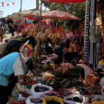 Doi Mae Salong, Chiang Rai province, Thailand - Doi Mae Salong, prowincja Chiang Rai, Tajlandia