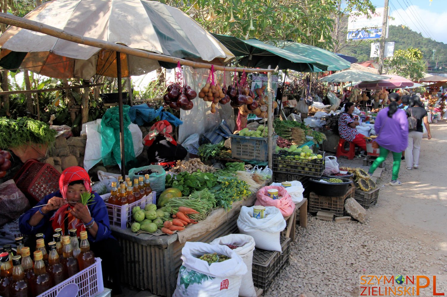 Doi Mae Salong, Chiang Rai province, Thailand - Doi Mae Salong, prowincja Chiang Rai, Tajlandia