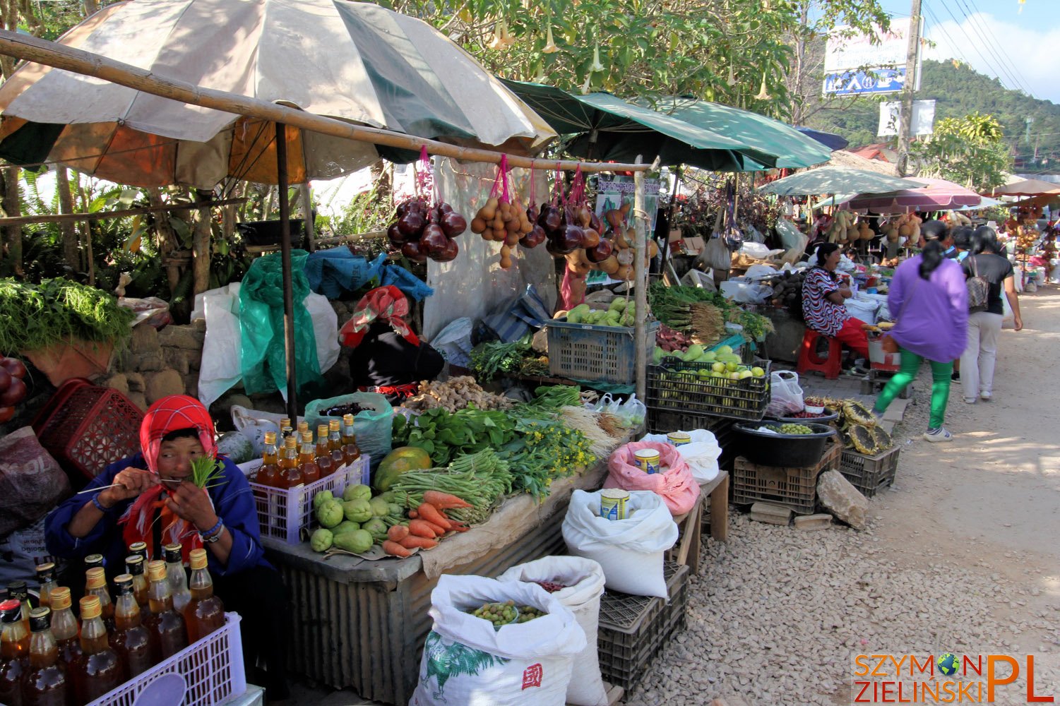 Doi Mae Salong, Chiang Rai province, Thailand - Doi Mae Salong, prowincja Chiang Rai, Tajlandia