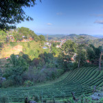 Doi Mae Salong, Chiang Rai province, Thailand - Doi Mae Salong, prowincja Chiang Rai, Tajlandia