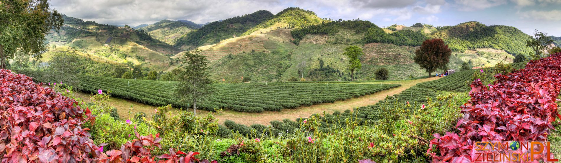 Doi Mae Salong, Chiang Rai province, Thailand - Doi Mae Salong, prowincja Chiang Rai, Tajlandia