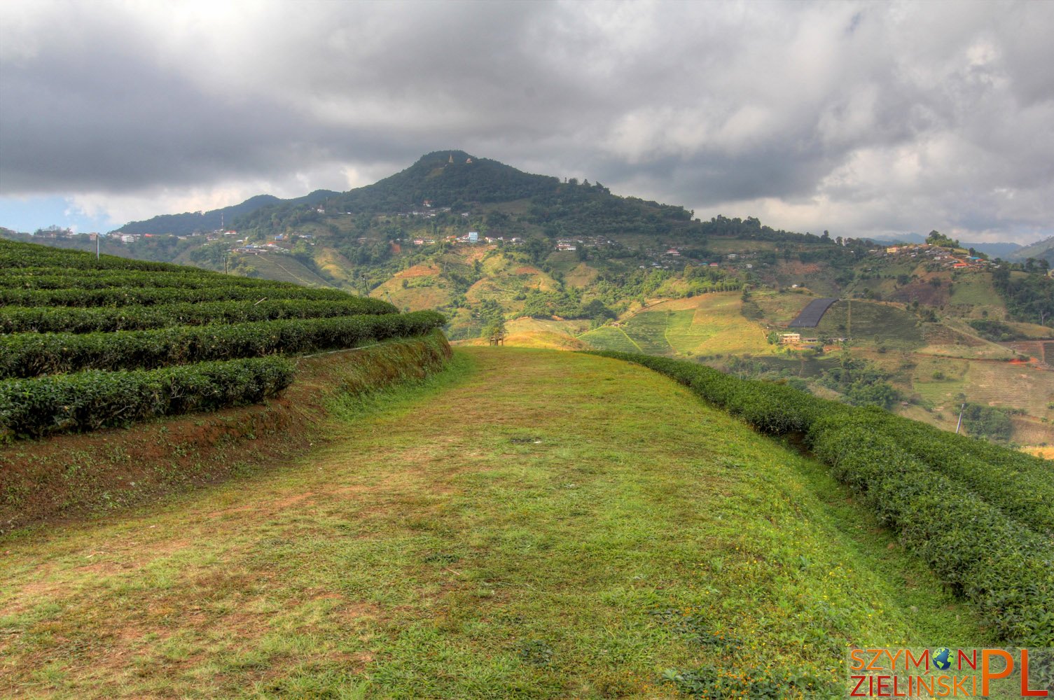 Doi Mae Salong, Chiang Rai province, Thailand - Doi Mae Salong, prowincja Chiang Rai, Tajlandia