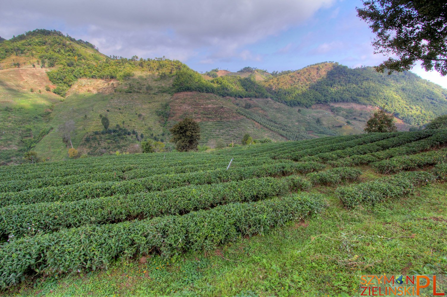 Doi Mae Salong, Chiang Rai province, Thailand - Doi Mae Salong, prowincja Chiang Rai, Tajlandia