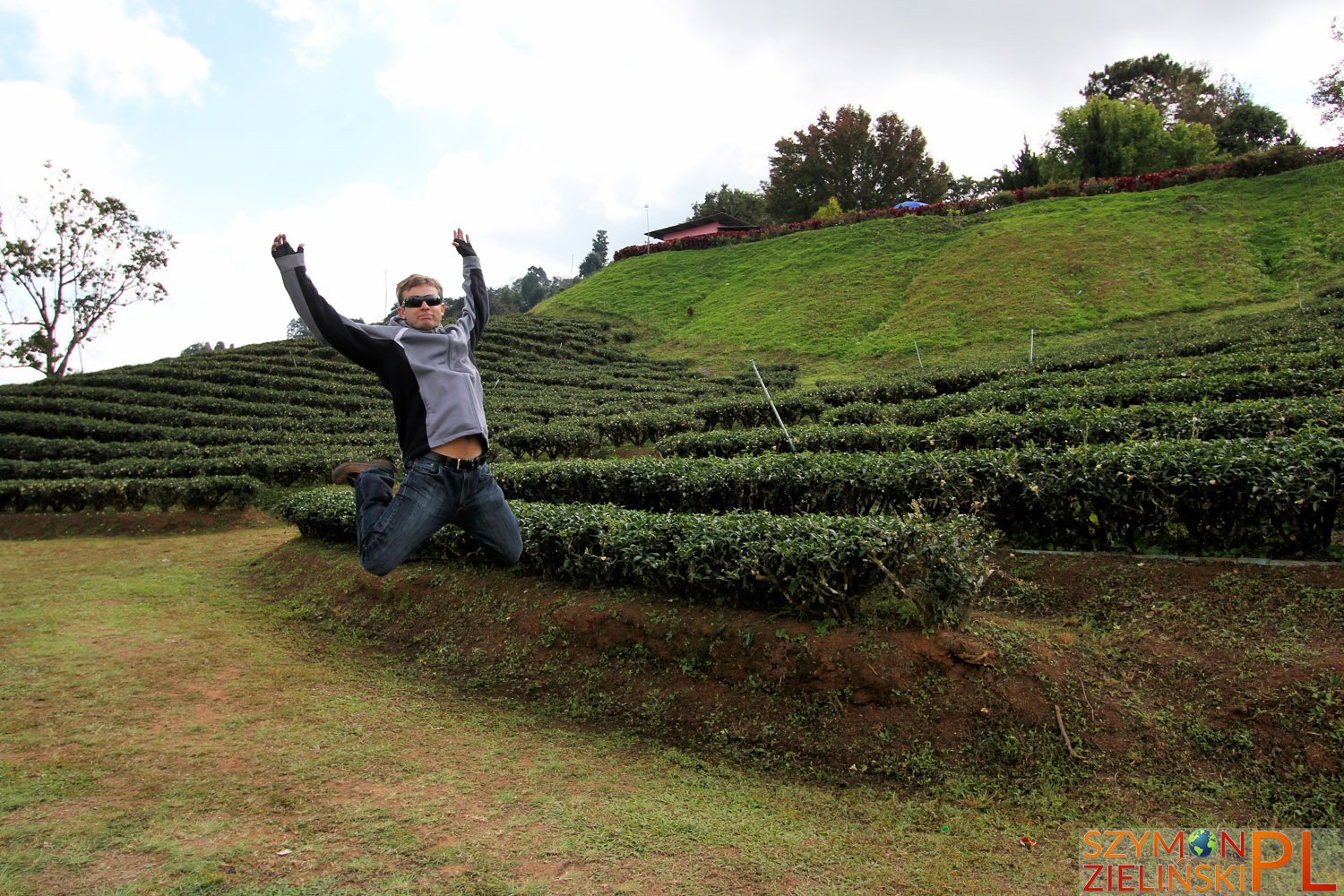 Doi Mae Salong, Chiang Rai province, Thailand - Doi Mae Salong, prowincja Chiang Rai, Tajlandia