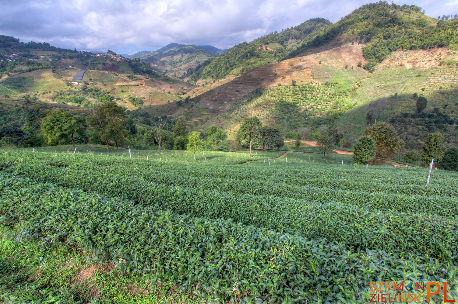 Doi Mae Salong, Chiang Rai province, Thailand - Doi Mae Salong, prowincja Chiang Rai, Tajlandia