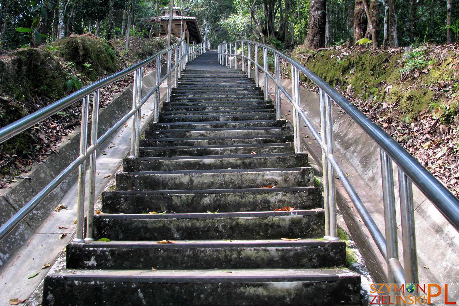 Doi Mae Salong, Chiang Rai province, Thailand - Doi Mae Salong, prowincja Chiang Rai, Tajlandia