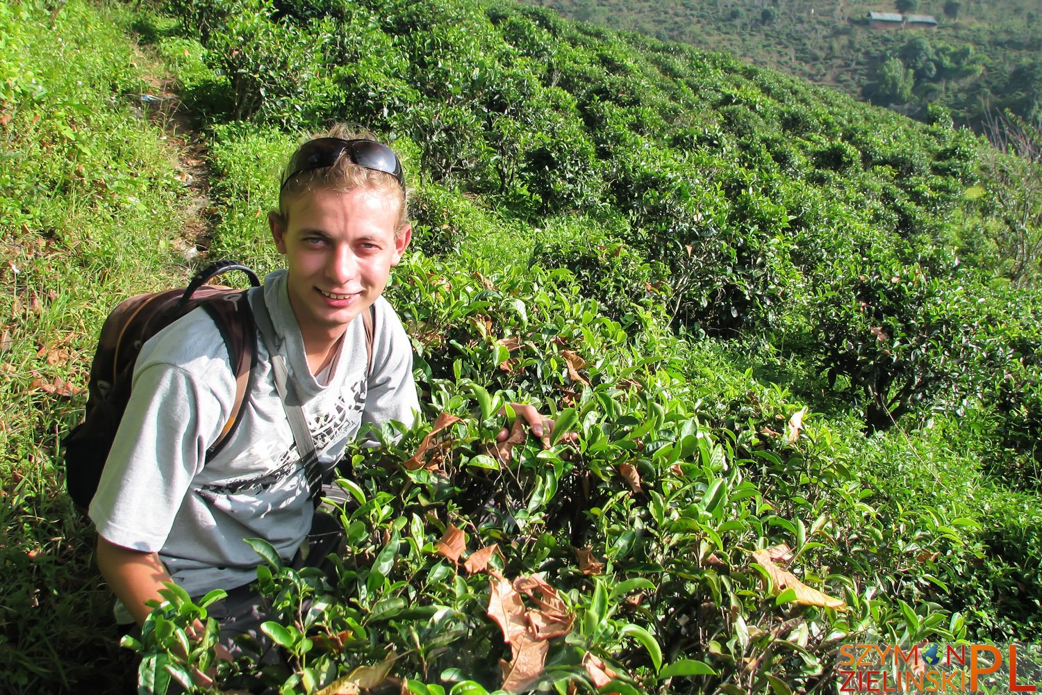 Doi Mae Salong, Chiang Rai province, Thailand - Doi Mae Salong, prowincja Chiang Rai, Tajlandia