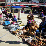 Doi Mae Salong, Chiang Rai province, Thailand - Doi Mae Salong, prowincja Chiang Rai, Tajlandia