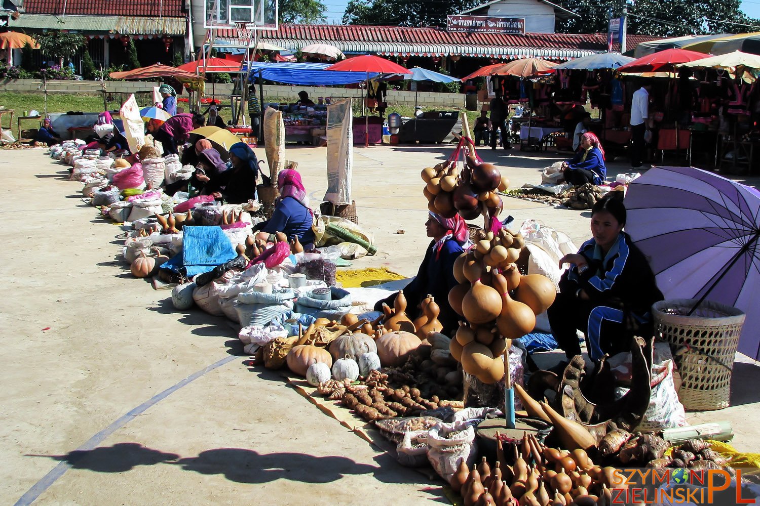 Doi Mae Salong, Chiang Rai province, Thailand - Doi Mae Salong, prowincja Chiang Rai, Tajlandia