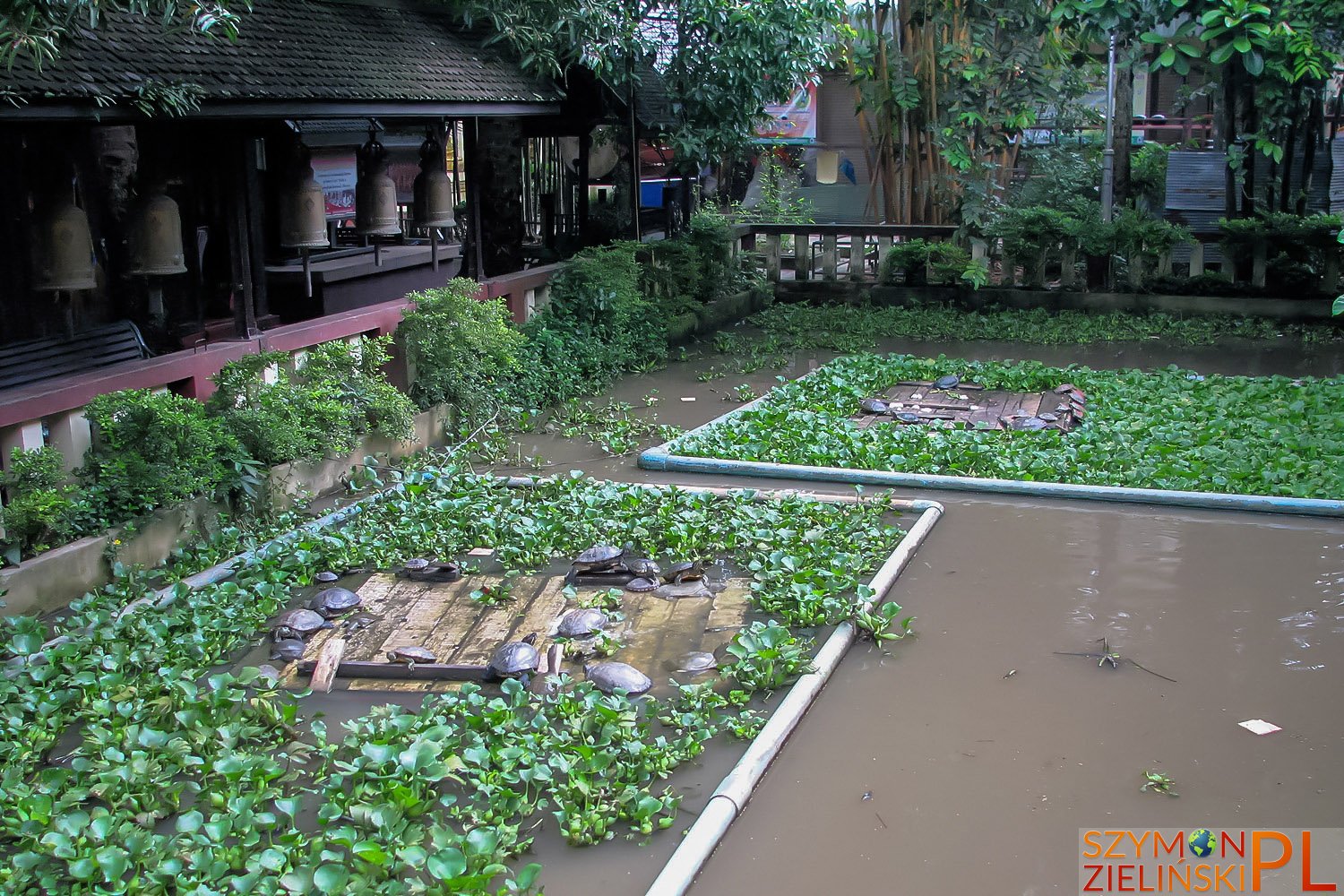Chiang Rai city, Chiang Rai province, Thailand - Miasto Chiang Rai, prowincja Chiang Rai, Tajlandia